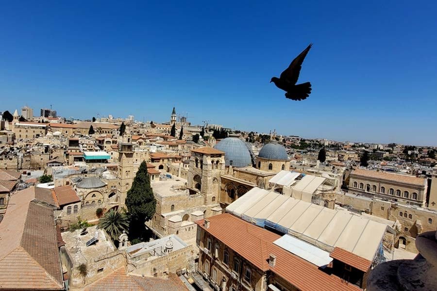 Израиль. Групповые экскурсии на русском языке